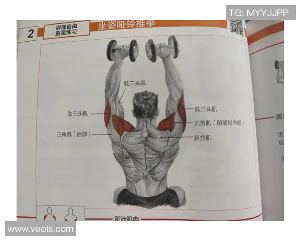 女生健身必备哑铃动作推荐塑造完美身材的有效训练方法