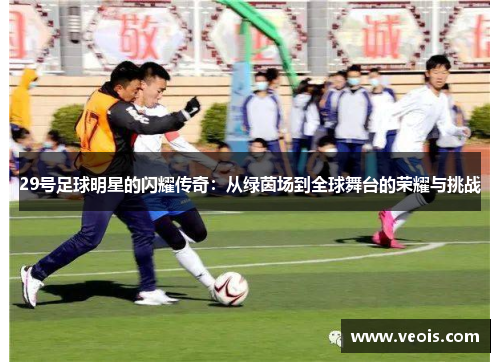29号足球明星的闪耀传奇：从绿茵场到全球舞台的荣耀与挑战