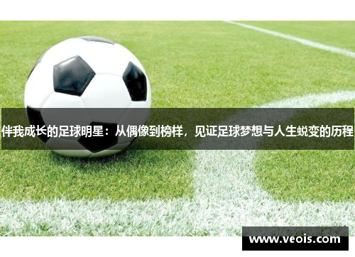 伴我成长的足球明星：从偶像到榜样，见证足球梦想与人生蜕变的历程