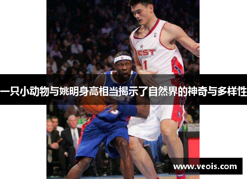 一只小动物与姚明身高相当揭示了自然界的神奇与多样性