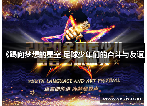 《踢向梦想的星空 足球少年们的奋斗与友谊》