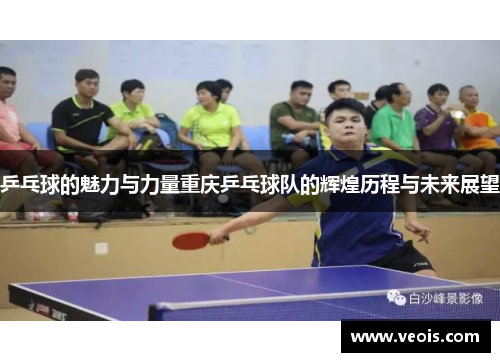 乒乓球的魅力与力量重庆乒乓球队的辉煌历程与未来展望