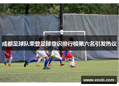 成都足球队荣登足球意识排行榜第六名引发热议