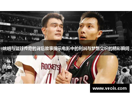 姚明与篮球传奇的背后故事揭示电影中的利润与梦想交织的精彩瞬间