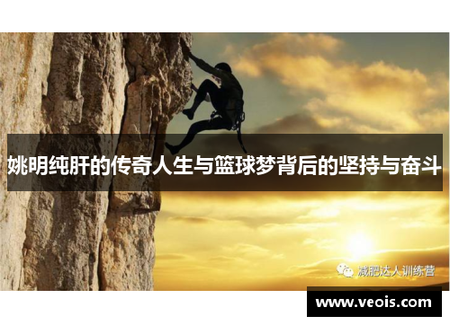 姚明纯肝的传奇人生与篮球梦背后的坚持与奋斗